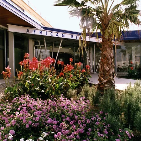 African Beach Манфредония