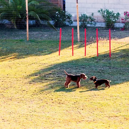Отель African Beach Манфредония