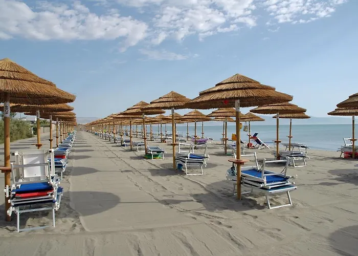 Hotel African Hotel-residence 3*