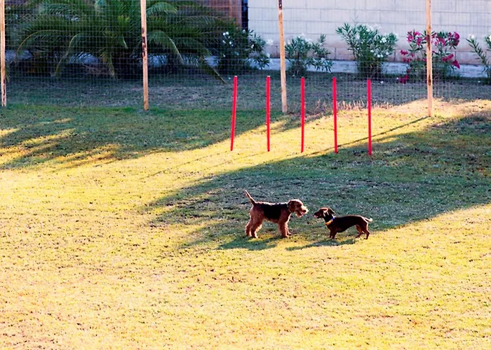 Hotel African Hotel-residence Manfredonia